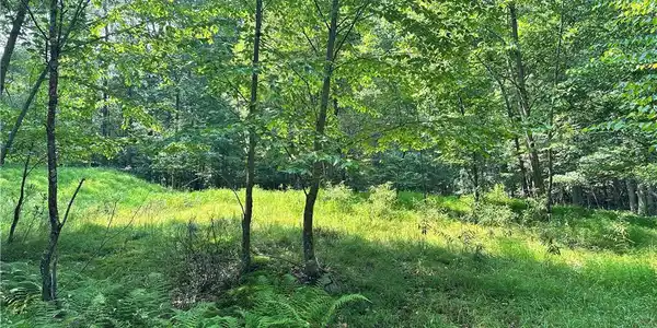 Timber Hill Road