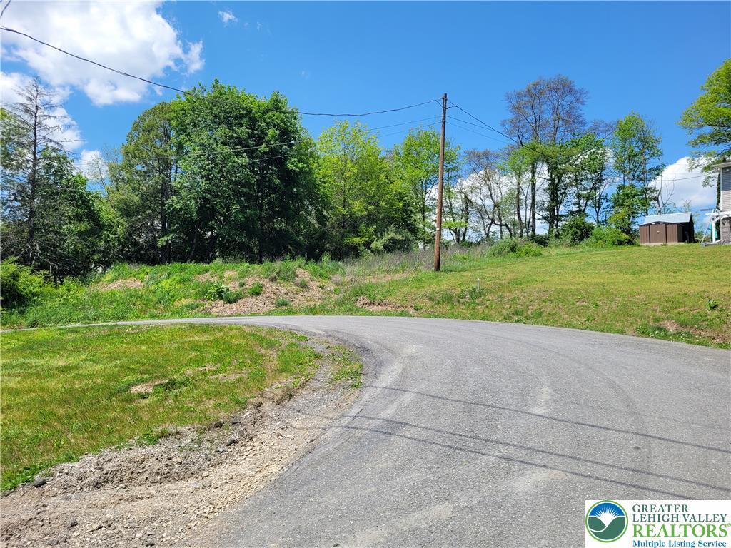 Image 3: A winding asphalt road meanders through a lush, ve