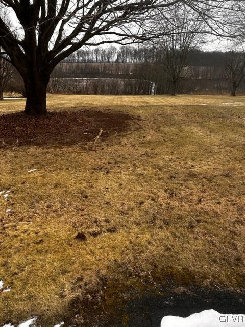 Image 1: Front view of lot