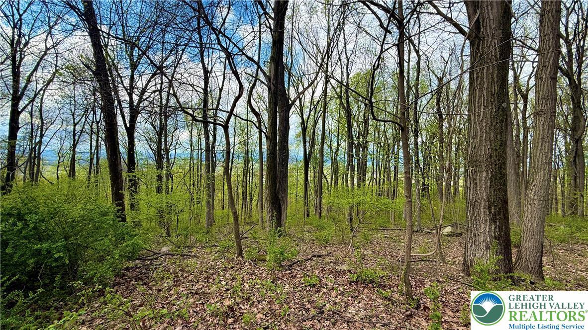 Image 4: Great views of the Lehigh Valley.