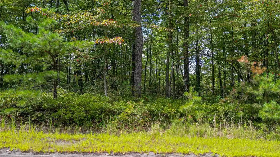 Image 1: A tranquil wooded lot offers a peaceful retreat fo