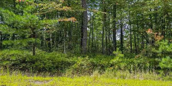 51 Mohican Court