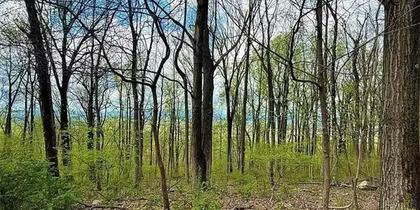 Image 3: Scenic mountain ridge top 2.4 acres ready for your
