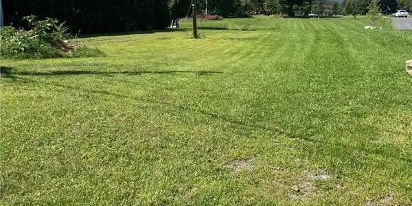 Image 3: A spacious green lawn stretches out under a clear