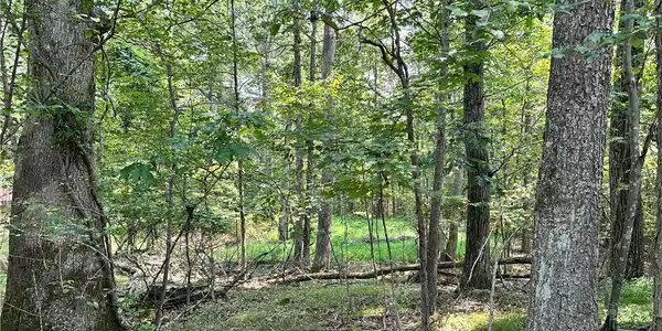 Timber Hill Road