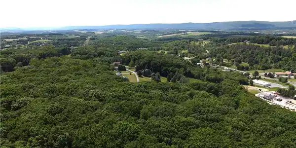 Image 3: A tranquil, verdant landscape unfolds with distant
