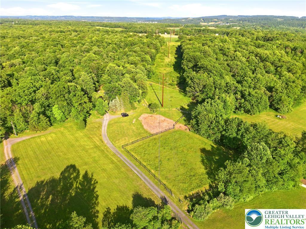 Image 3: A winding gravel path carves through verdant groun