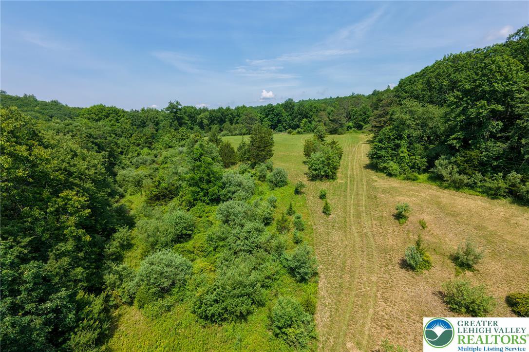 Image 3: Discover vast, open fields bordered by natural woo