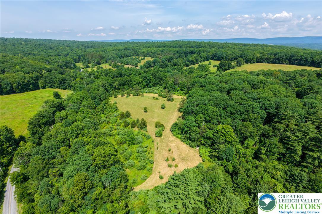 Image 4: Discover expansive acreage with cleared fields nes