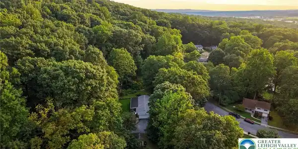 Image 4: Lush mature forests surround this private hillside