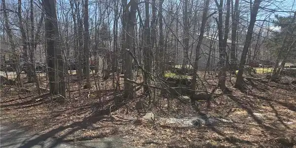 Chipmunk Drive