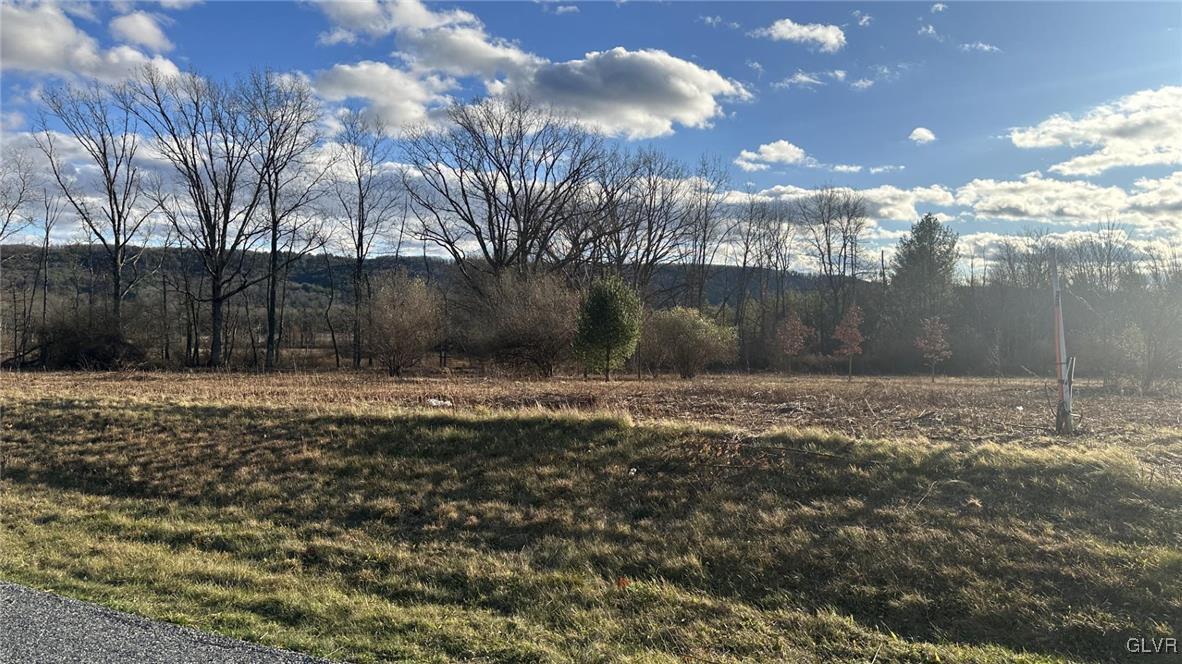 Image 3: Lot 7  - 3 acre lot (includes detention basin and