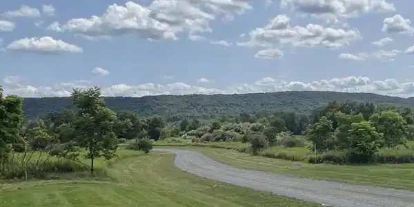 Image 2: Large 1-3 acre lots with scenic mountain views. Fl
