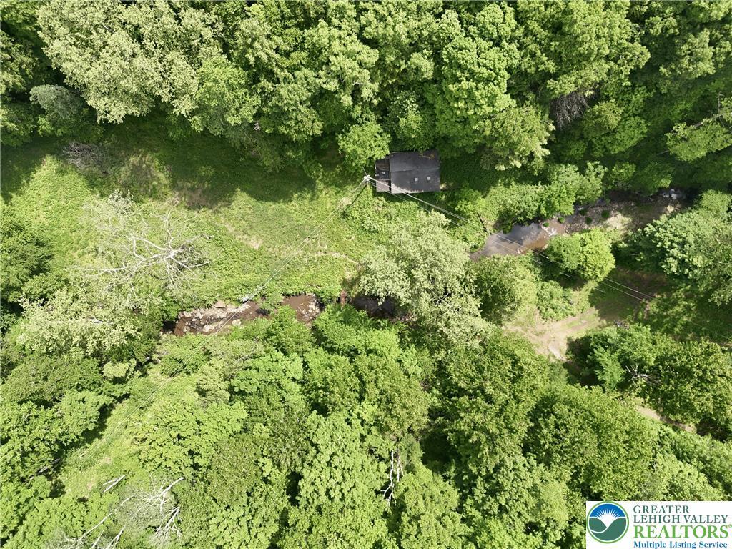 Image 2: Perched amidst a verdant canopy, this secluded woo