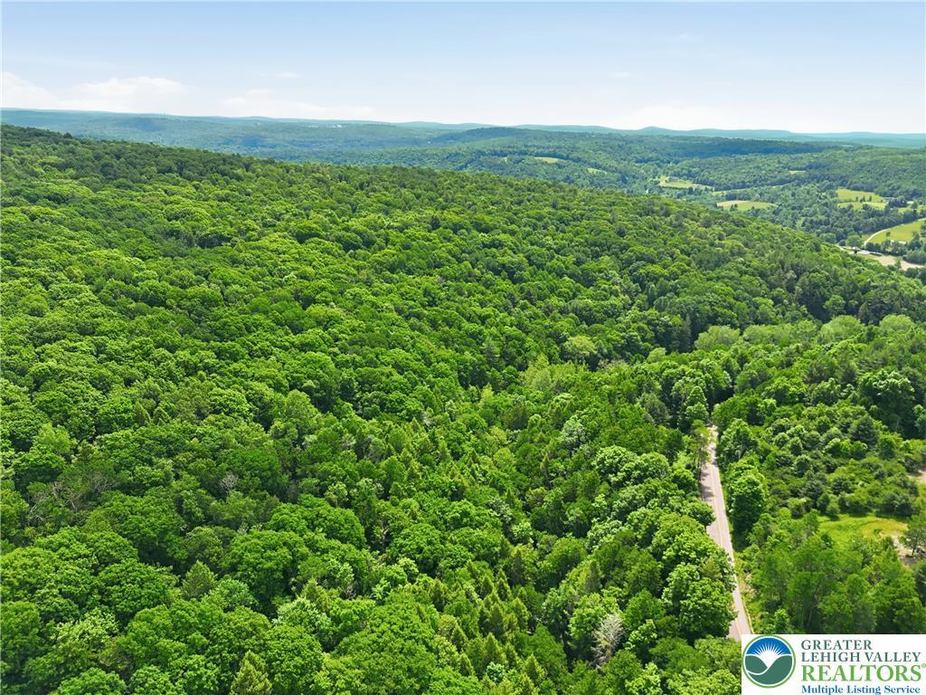 Image 3: A winding road traverses through a verdant, expans
