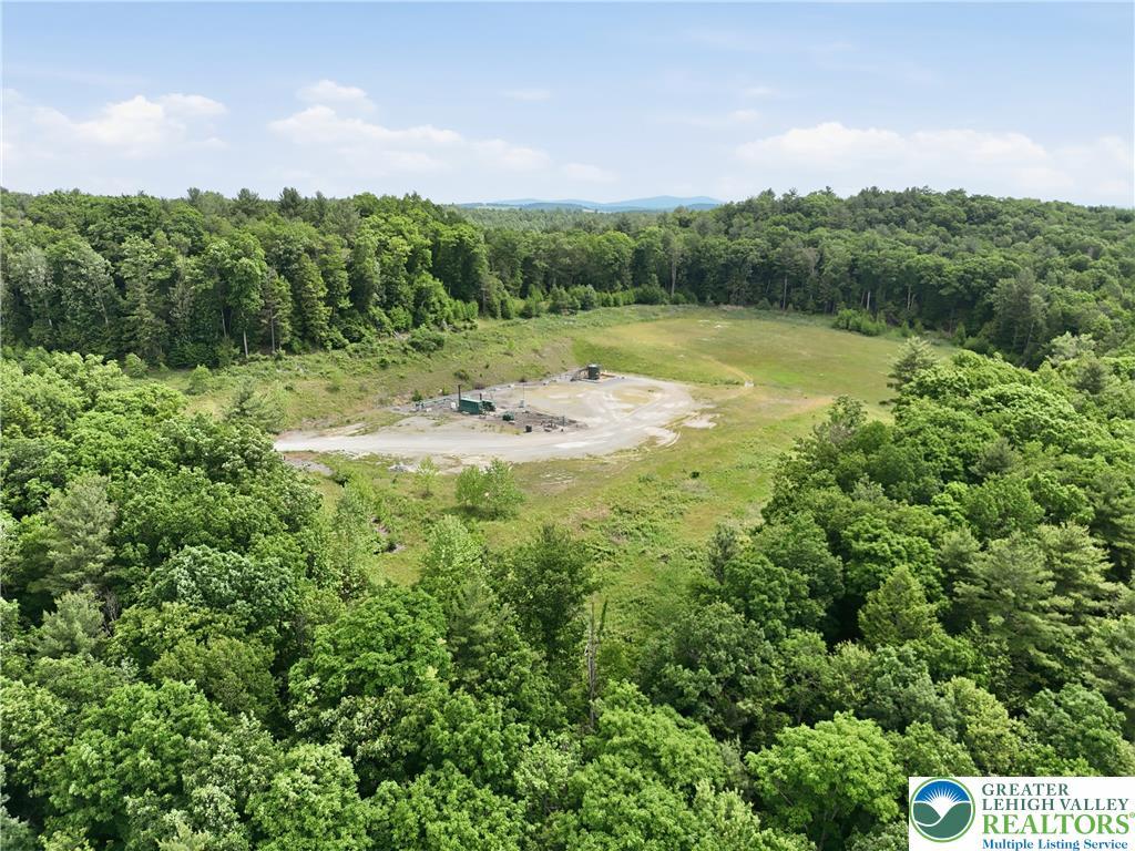 Image 4: Vast, verdant forest surrounds a clear, open expan