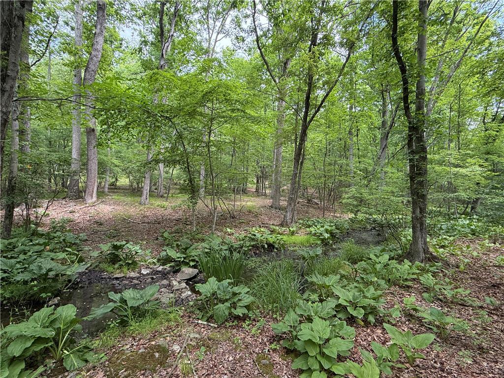 Image 1: A tranquil wooded lot, featuring a small creek win