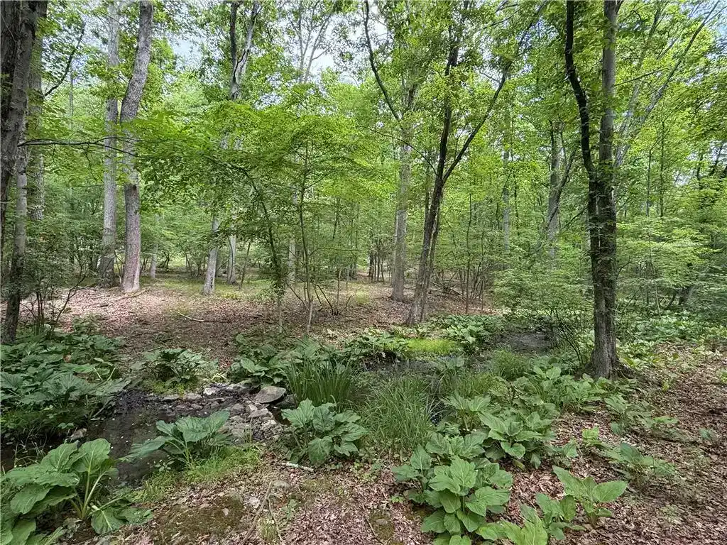 Image 1: A tranquil wooded lot, featuring a small creek win