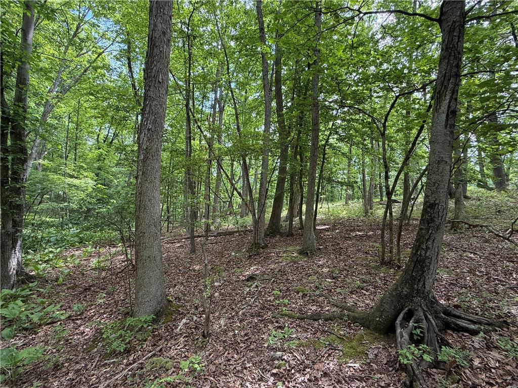 Image 3: A tranquil wooded lot offers a peaceful retreat am