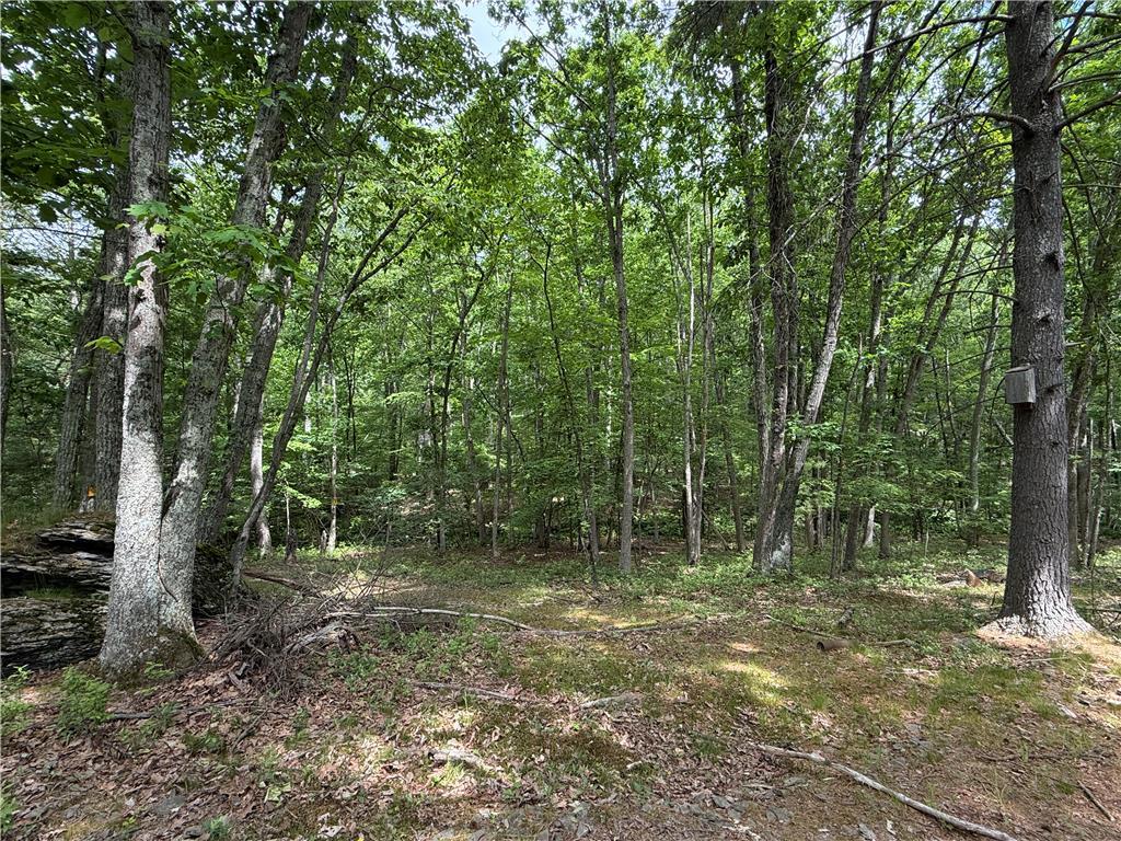 Image 4: Discover a tranquil, private wooded haven perfect