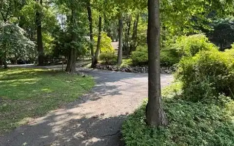 Image 4: A verdant pathway meanders through a sun-dappled g
