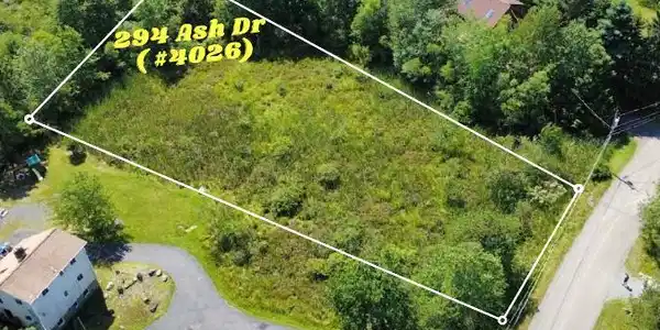 Image 2: Mature trees frame a vacant residential parcel pos
