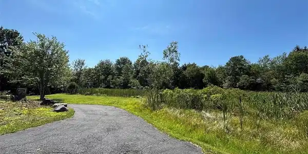 Image 3: Mature trees and open grassy areas border a paved