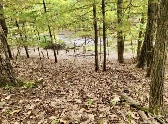 Image 3: A tranquil wooded setting provides privacy and a n