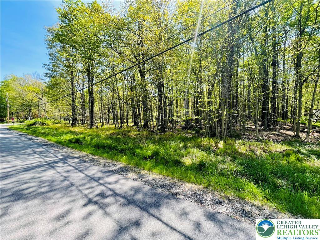 Image 1: This serene wooded lot offers ample space for buil