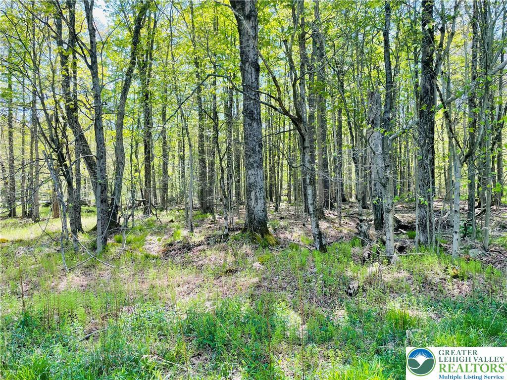 Image 2: This tranquil wooded lot offers a private, natural