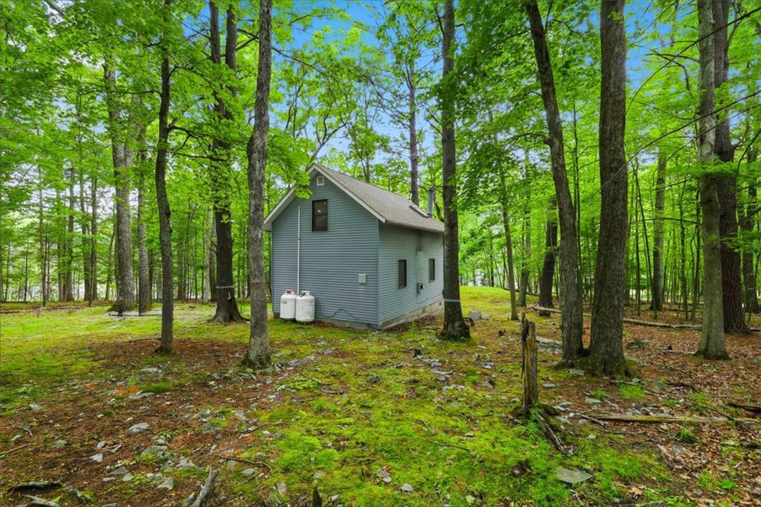 Image 3: A secluded forest cabin offers tranquility amidst