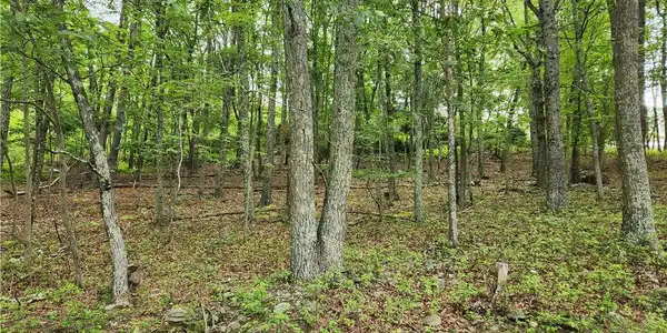 Image 2: 0.79