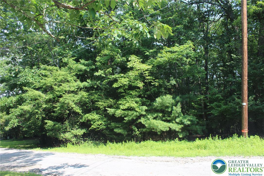 Image 1: A tranquil wooded lot offers a peaceful retreat fo