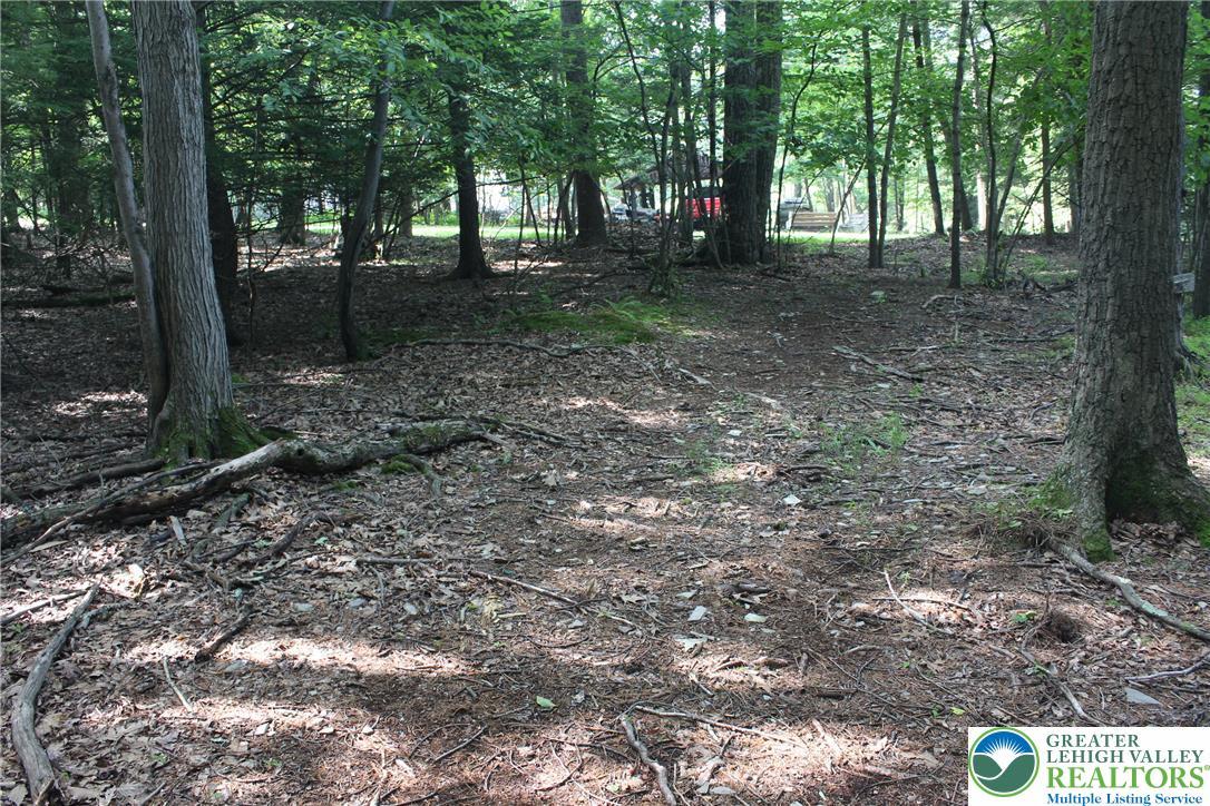 Image 2: A tranquil wooded lot offers a peaceful setting fo