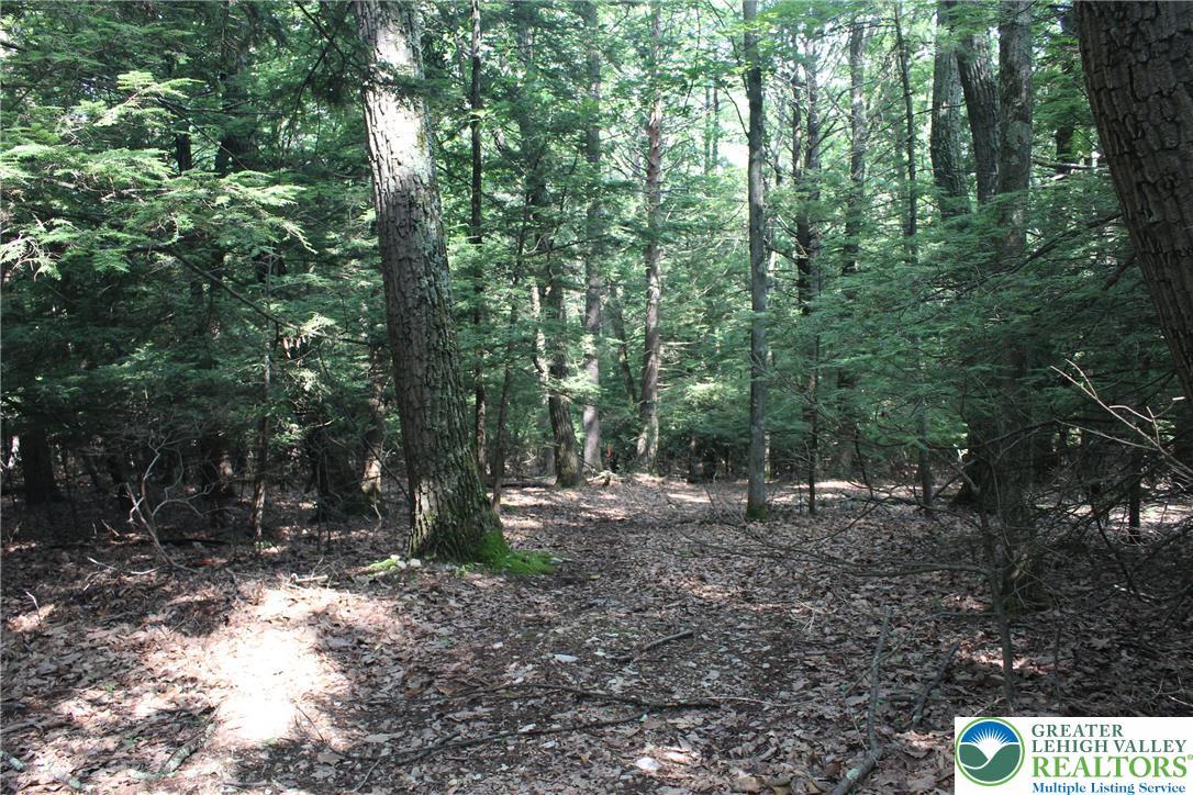 Image 3: A tranquil wooded lot awaits, offering a private a
