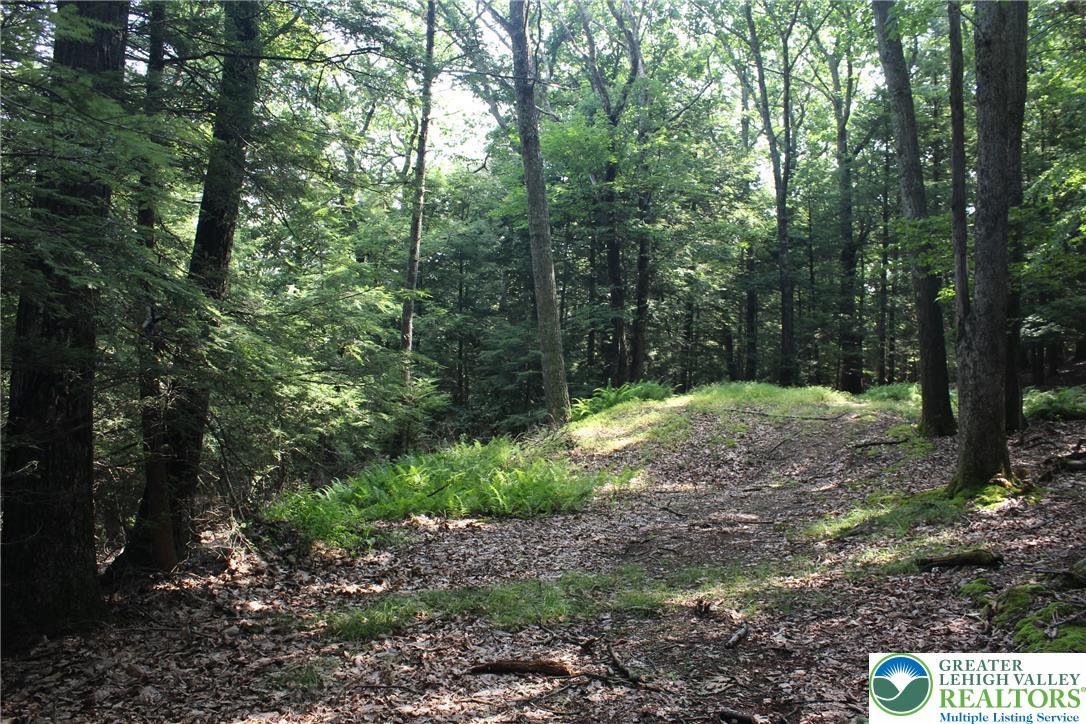 Image 4: A tranquil, wooded setting offering a serene escap