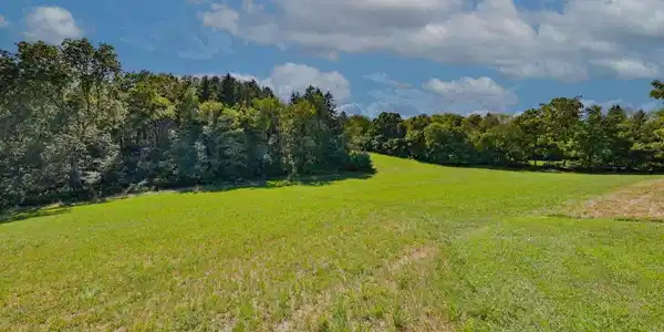 Summer Mountain Road