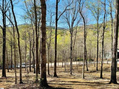 2 Buck Creek Trail