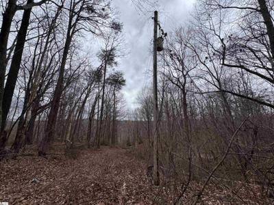 100 Chestnut Mountain Road