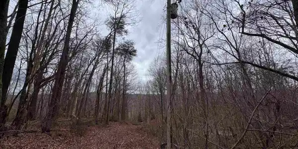 100 Chestnut Mountain Road