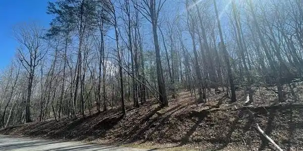 00 Burts Road
