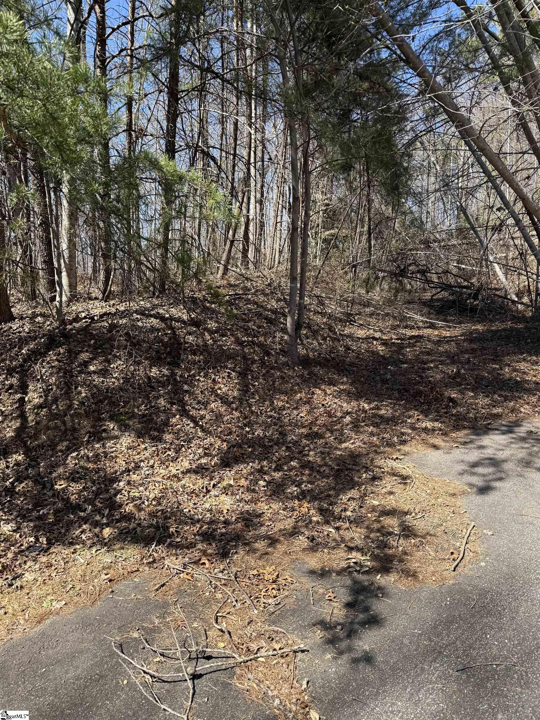 Image 1: Lot 17