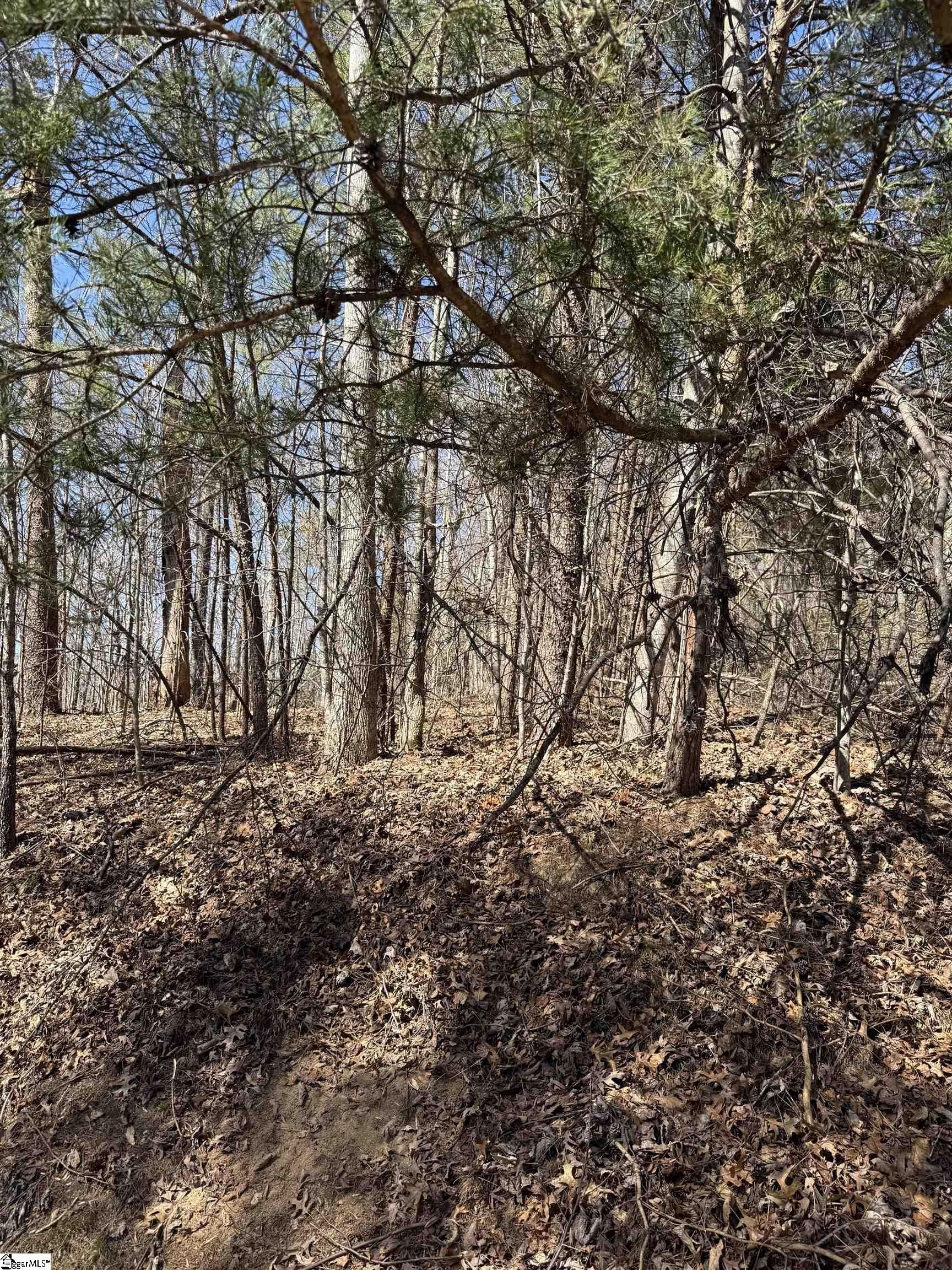 Image 3: Lot 17 view on Foxboro Rd