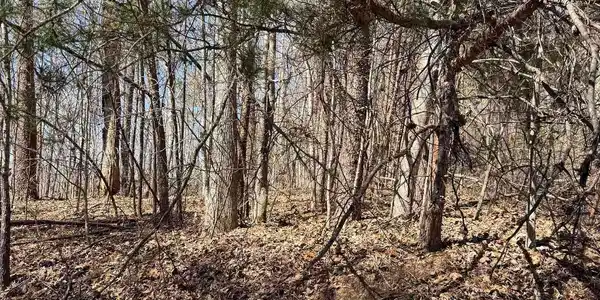 Image 3: Lot 17 view on Foxboro Rd