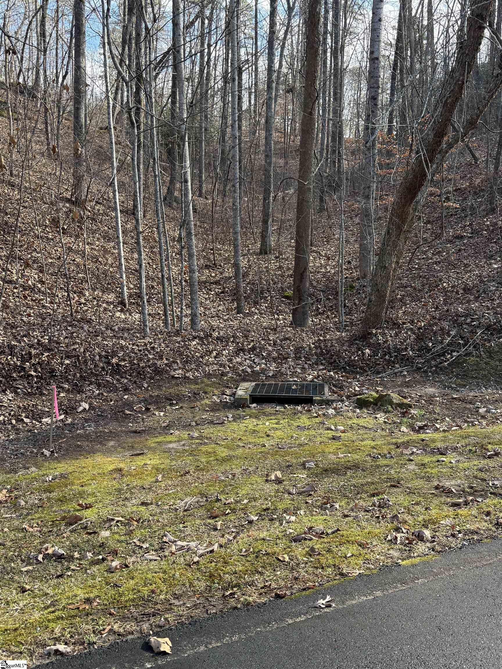 Image 4: View from Foxboro rd.