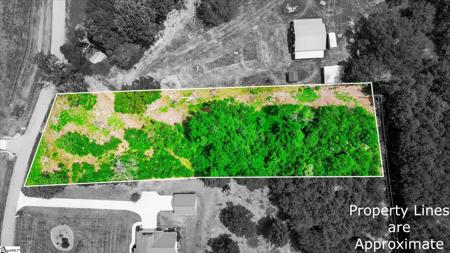 301 Clearview Road