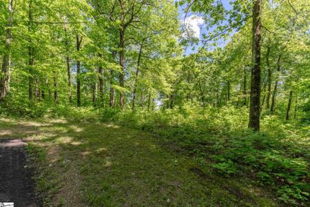 149 Lacey Fern Way