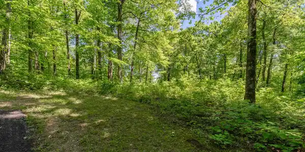 149 Lacey Fern Way