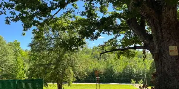 196 Old Boswell Road