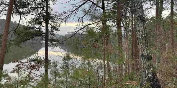 00 Jackson Cove Road